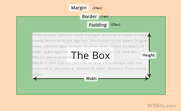 The Beginner's Guide to CSS Box Model